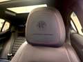 Alfa Romeo Stelvio Stelvio 2023 2.0 t Competizione Q4 280cv auto Grau - thumbnail 9