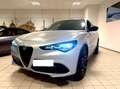 Alfa Romeo Stelvio Stelvio 2023 2.0 t Competizione Q4 280cv auto Grau - thumbnail 3