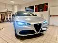 Alfa Romeo Stelvio Stelvio 2023 2.0 t Competizione Q4 280cv auto Grau - thumbnail 2