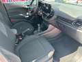 Ford Fiesta Fiesta VII 2022 5p 5p 1.1Titanium Gpl PREZZO REALE Bianco - thumbnail 8