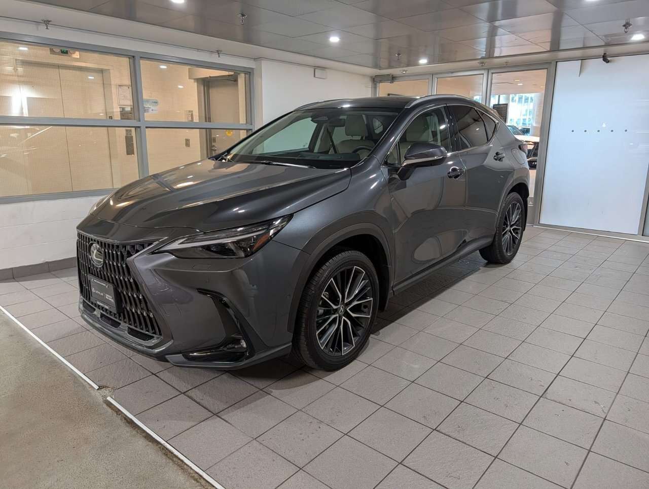 2025 Lexus NX NX 350 NO ACCIDENT | EXECUTIVE | MARK LEVINSON | 3