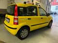Fiat Panda Panda 1.2 Dynamic Eco Giallo - thumbnail 3