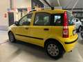 Fiat Panda Panda 1.2 Dynamic Eco Giallo - thumbnail 4