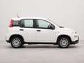 Fiat Panda 1.0 Hybrid Urban | Bluetooth | Airco | Dab | Wit - thumbnail 25