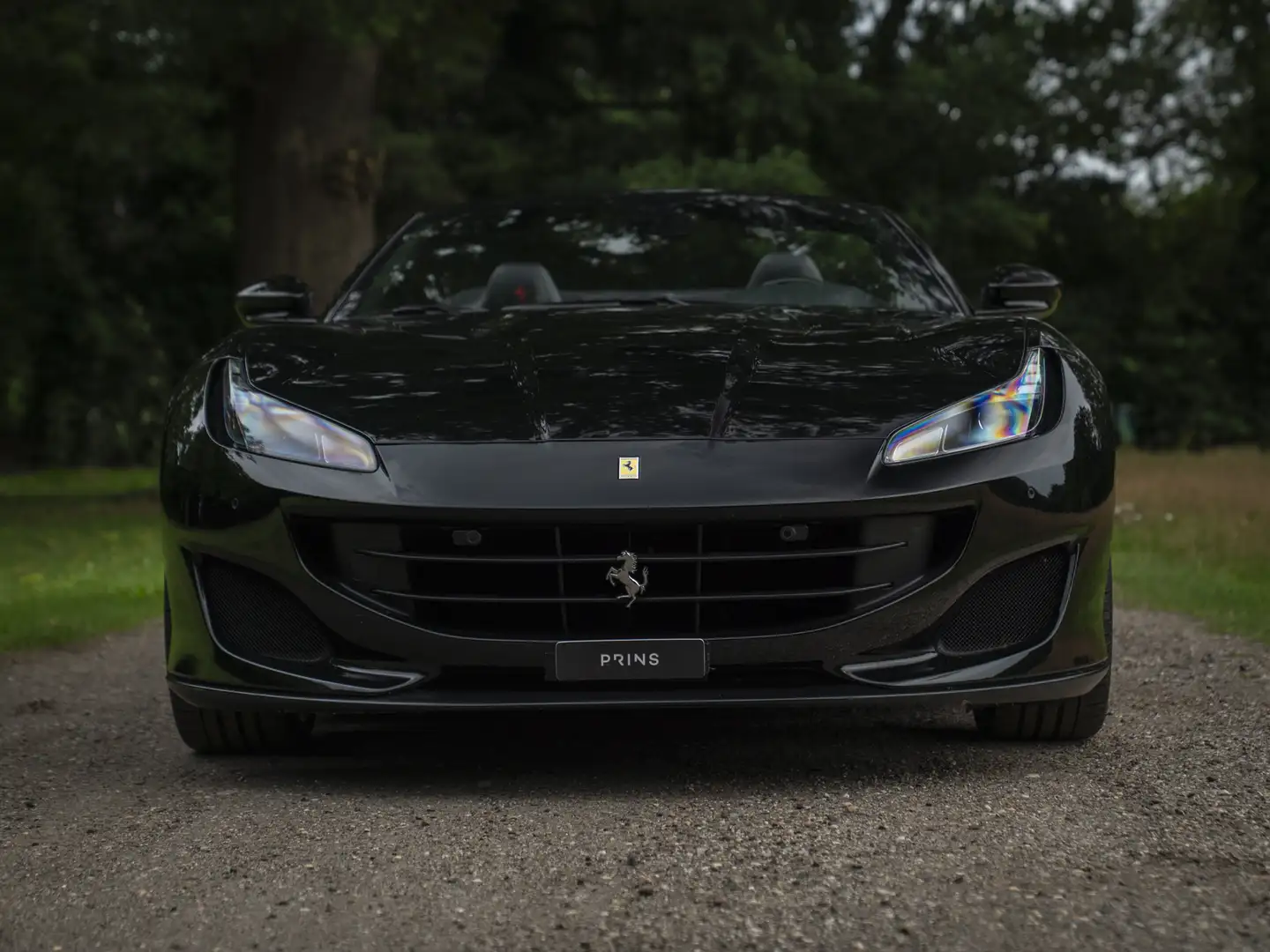 Ferrari Portofino 3.9 V8 HELE | Carbon Driver Zone Zwart - 2