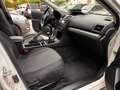 Subaru XV XV 2.0d S Unlimited (exclusive) 6Marce Bianco - thumbnail 12