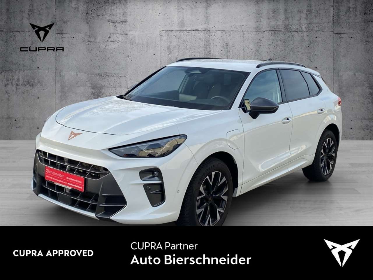 Cupra Terramar 2025