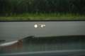 BMW 330 3-serie Touring 330e / M sport / M Sportstoelen / Gris - thumbnail 26