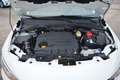 Fiat Tipo 1.3 mjt 95 cv 5 porte Easy Business Blanc - thumbnail 15