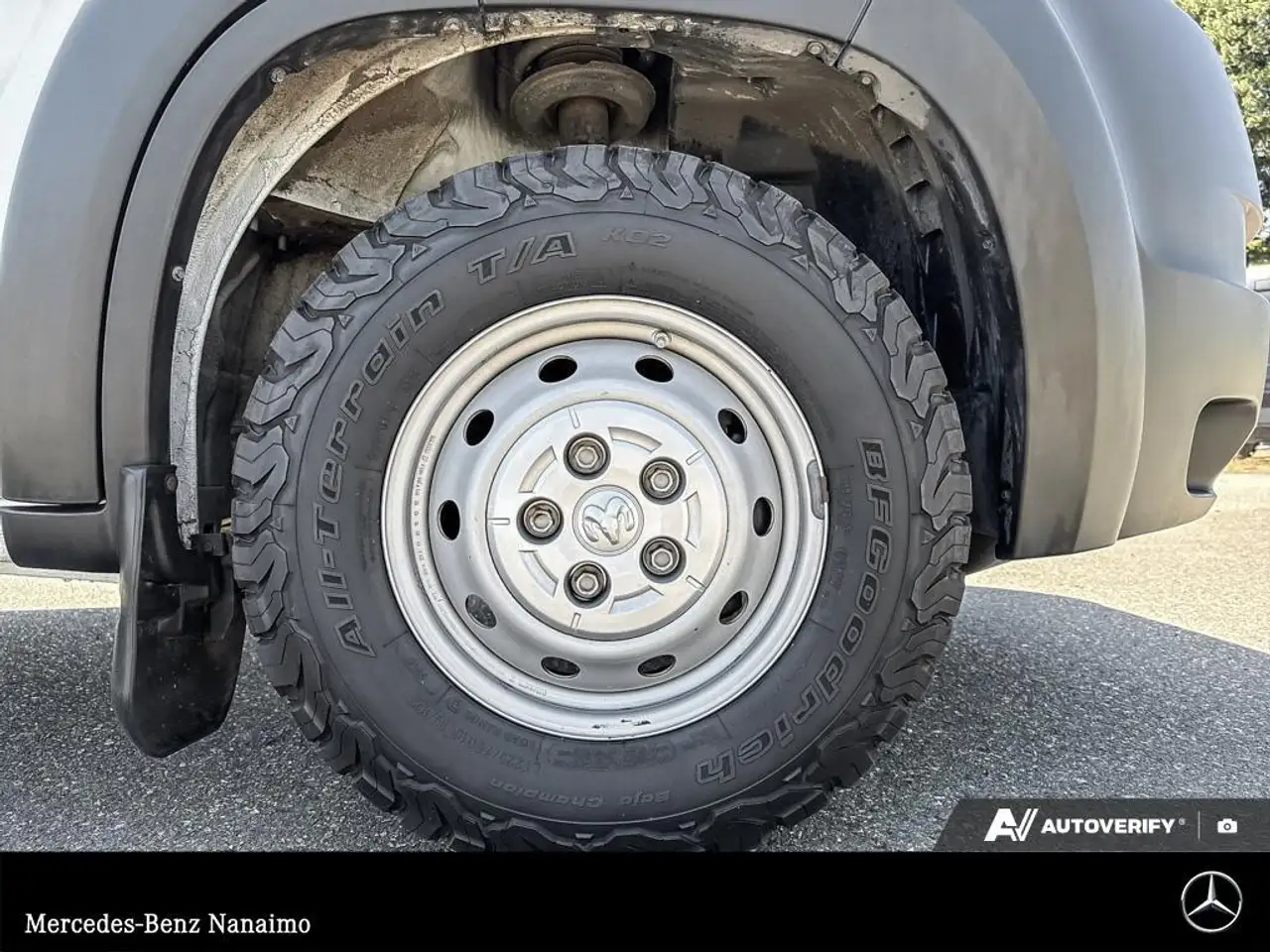 RAM Promaster снимка RAM Promaster