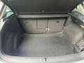 Volkswagen Tiguan Life 4Motion DSG Grau - thumbnail 12