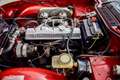 Triumph TR6 Rouge - thumbnail 9