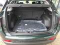 Jeep Compass North Star Mild-Hybrid FWD 1.5 M-Air Grün - thumbnail 7