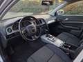 Audi A6 2.7 TDI Automatik 190 PS Euro 5 Tempomat Navigatio Gris - thumbnail 10