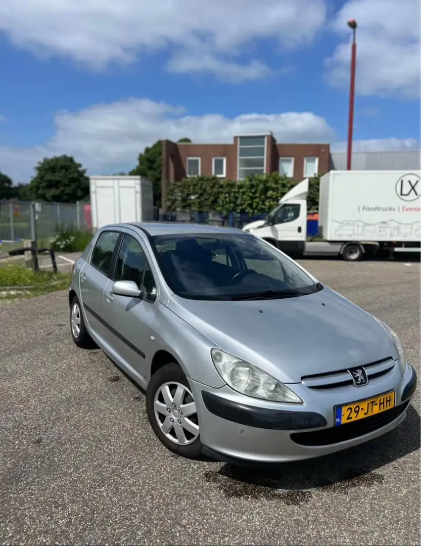 Peugeot 307 1.6-16V XS Gri - 1