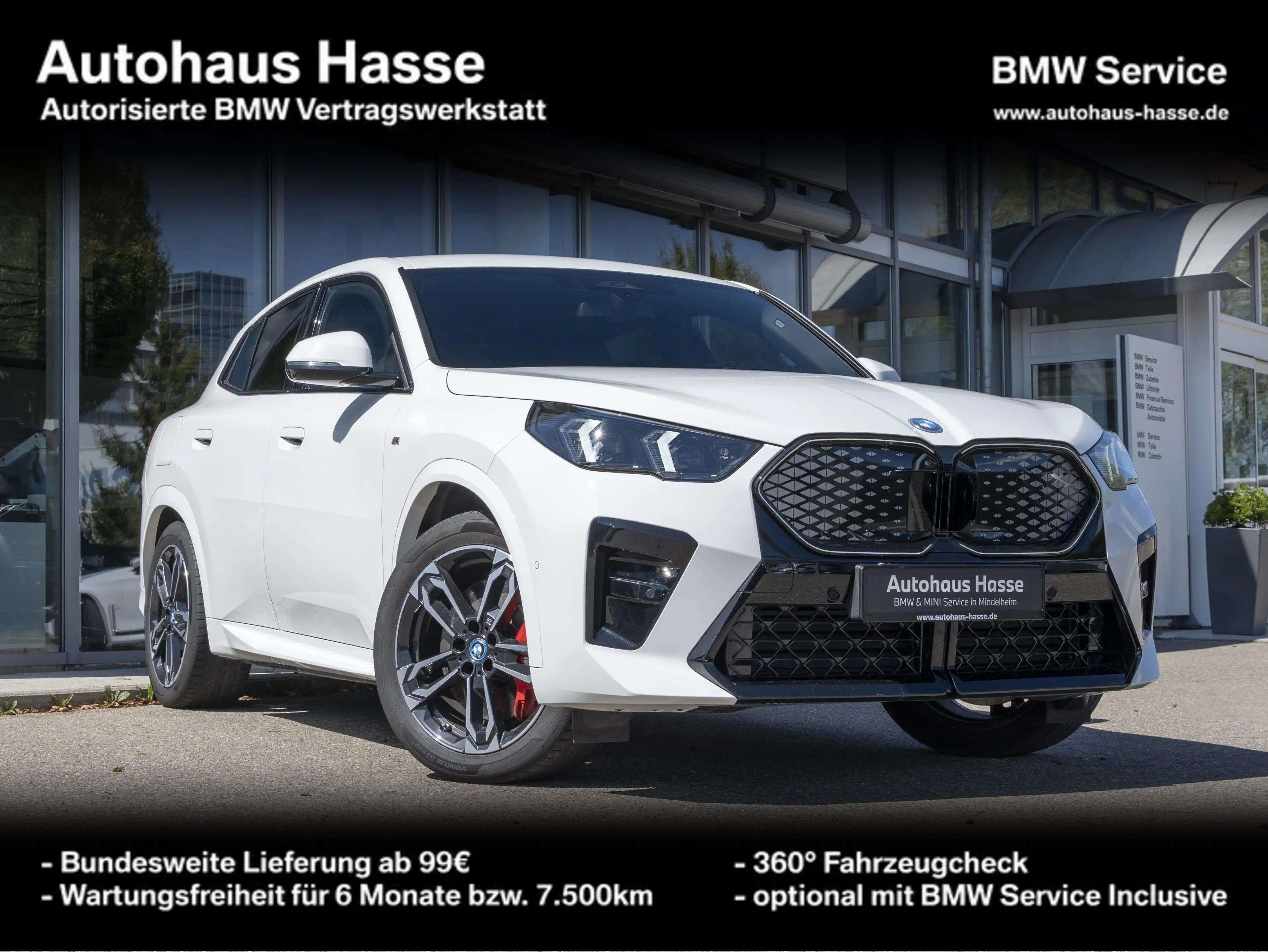 BMW iX2 xDrive30 M-Sport Pro 19Z DA+ 360° H/K AHK HUD