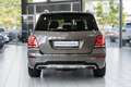 Mercedes-Benz GLK 250 CDI BlueTec 4Matic*SPORT-PAKET*LEDER*LED Gris - thumbnail 6