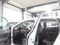 Volkswagen Polo TGI-CNG Comfortline ERDGAS / WHITE / LED / Blanco - thumbnail 16
