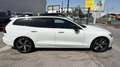 Volvo V60 D4 AWD R-Design Geartronic Allrad Autom 190PS Sportpaket Parkpaket Leder Weiß - thumbnail 6