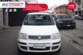 Fiat Panda FIAT Panda 1.2 Climbing Natural Power Unicopropri Bianco - thumbnail 9