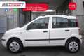 Fiat Panda FIAT Panda 1.2 Climbing Natural Power Unicopropri Bianco - thumbnail 4