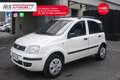Fiat Panda FIAT Panda 1.2 Climbing Natural Power Unicopropri Bianco - thumbnail 11