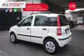 Fiat Panda FIAT Panda 1.2 Climbing Natural Power Unicopropri Bianco - thumbnail 15