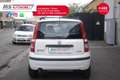 Fiat Panda FIAT Panda 1.2 Climbing Natural Power Unicopropri Bianco - thumbnail 7