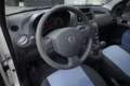 Fiat Panda FIAT Panda 1.2 Climbing Natural Power Unicopropri Bianco - thumbnail 14