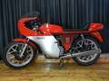 MV Agusta Sonstige 350 SPORT 75 Rot - thumbnail 1