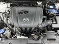 Mazda CX-3 2.0 SkyActiv-G 120 GT-M | Navigatie | Trekhaak | C Wit - thumbnail 31
