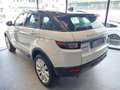 Land Rover Range Rover Evoque 2.0 TD4 150 CV 5p. HSE Bianco - thumbnail 8