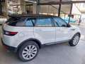 Land Rover Range Rover Evoque 2.0 TD4 150 CV 5p. HSE Bianco - thumbnail 5