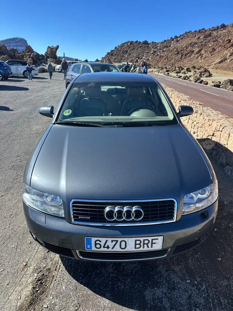 Audi A4 A4 Avant 3.0 Multitronic Gris - 2