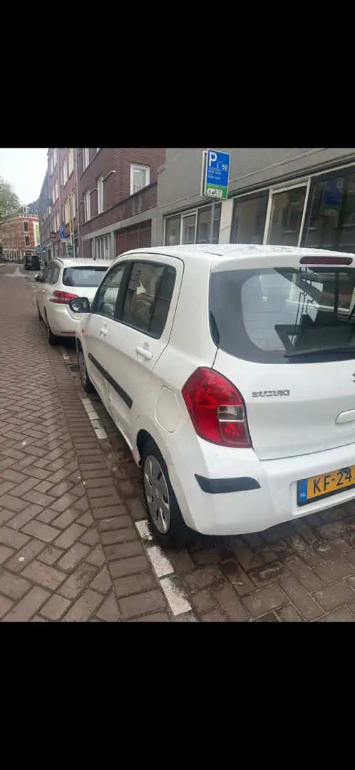 Suzuki Celerio Wit - 2