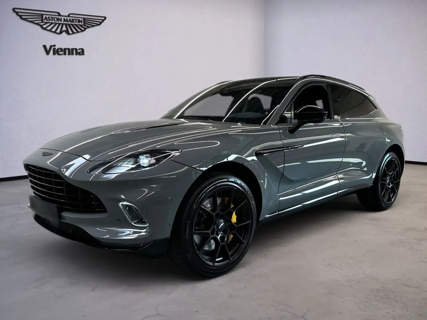 Aston Martin DBX / PANO / 22'' Rims / China Grey Gri - 1
