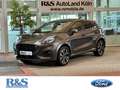 Ford Puma ST-Line+Kamera+Navi+Key-Free+Winter-P. Gris - thumbnail 1