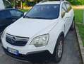 Opel Antara Antara 2.4 16v Edition Wit - thumbnail 7