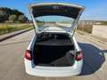Skoda Fabia 1.4 TDI 90 CV Wagon Active AUTOCARRO N1 Bianco - thumbnail 7