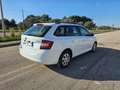 Skoda Fabia 1.4 TDI 90 CV Wagon Active AUTOCARRO N1 Bianco - thumbnail 5