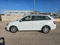 Skoda Fabia 1.4 TDI 90 CV Wagon Active AUTOCARRO N1 Bianco - thumbnail 9