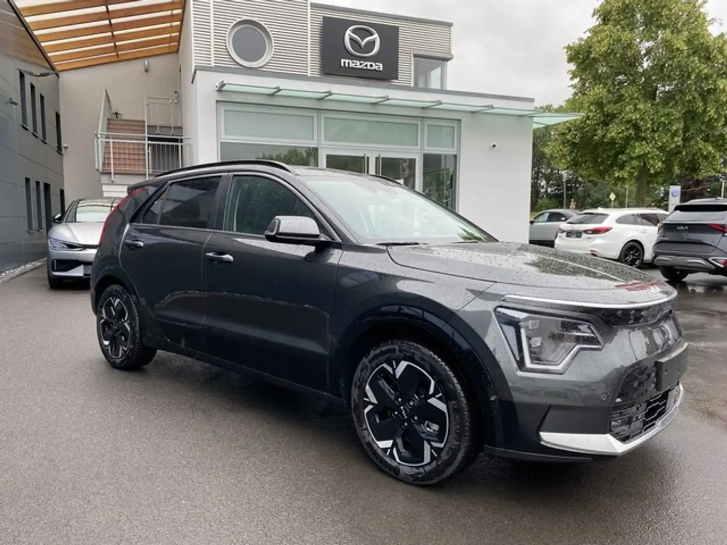 Kia Niro EV INSPIRATION WP DW Grau - 2