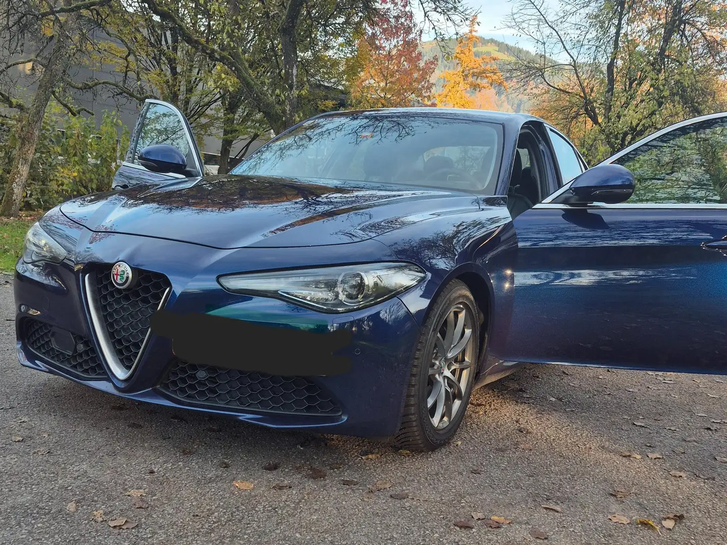Alfa Romeo Giulia Giulia Super 2,2 180 MT RWD Super Blau - 2