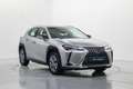 Lexus UX 300e Business Grau - thumbnail 3