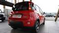 Fiat Panda 1.0 FireFly S&S Hybrid Sport Rosso - thumbnail 11