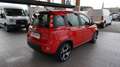 Fiat Panda 1.0 FireFly S&S Hybrid Sport Rosso - thumbnail 5