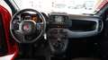 Fiat Panda 1.0 FireFly S&S Hybrid Sport Rot - thumbnail 23