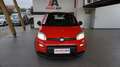 Fiat Panda 1.0 FireFly S&S Hybrid Sport Rot - thumbnail 8