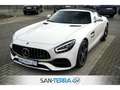 Mercedes-Benz AMG GT ROADSTER PERFORMANCE EXKLUSIV DESIGNO CARBON*COMAN Blanco - thumbnail 38