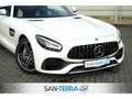 Mercedes-Benz AMG GT ROADSTER PERFORMANCE EXKLUSIV DESIGNO CARBON*COMAN White - thumbnail 2